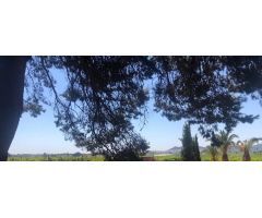 Terreno rural en Venta en Llíria, Valencia