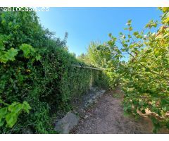 Fincas Rústicas en tivissa con construcción