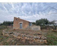 Económica Finca, con antigua caseta de campo de 25 M2 en El Perello