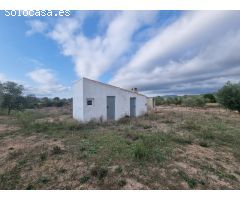 Finca rústica con construcción de 57m2 en el Perello