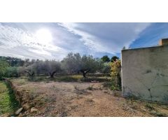 Serenidad en 100 m²