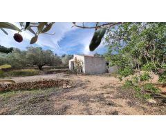 Serenidad en 100 m²