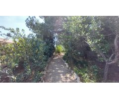 Amplia propiedad con 4 apartamentos y piscina en la zona de alto standing St Jordi-Tiene nºHUTTE