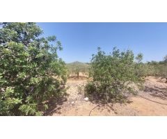 Oportunidad Única en LAmpolla: Vistas Espectaculares al Mar, Montaña y Delta del Ebro
