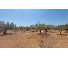 Oportunidad Única en LAmpolla: Vistas Espectaculares al Mar, Montaña y Delta del Ebro