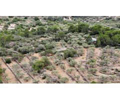 Casa Rústica en El Perelló - Un Refugio Natural con Encanto Mediterráneo