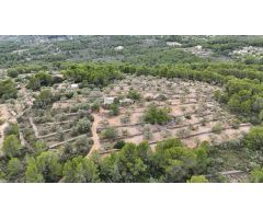 Casa Rústica en El Perelló - Un Refugio Natural con Encanto Mediterráneo