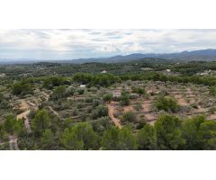 Casa Rústica en El Perelló - Un Refugio Natural con Encanto Mediterráneo