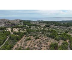 Casa Rústica en El Perelló - Un Refugio Natural con Encanto Mediterráneo