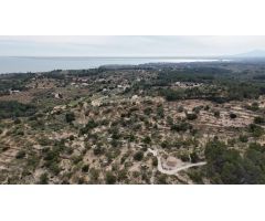 EXCLUSIVA Finca Rústica con Vistas al Mar cerca de l´illot de L´Ametlla de Mar