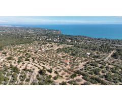 ? Finca Rústica con Masía y Vistas al Mar en Pleno Corazón Natural de la Costa Dorada ?