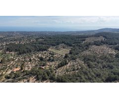 ? Finca Rústica con Masía y Vistas al Mar en Pleno Corazón Natural de la Costa Dorada ?