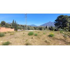 Espectacular parcela  de más de 1.200 M2 en la zona más demanda y con más prestigio de Marbella.