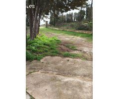 Finca en Los montes de Malaga