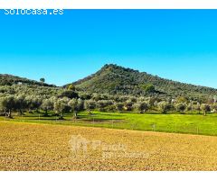 ACOGEDORA CASA FAMILIAR EN EL PARQUE NATURAL SIERRA NORTE DE SEVILLA.