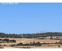 Magníficos terrenos rústicos en Sineu
