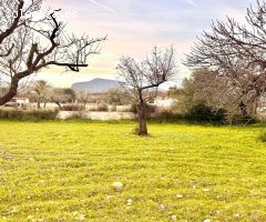 TERRENO RÚSTICO EN LLOSETA( NO EDIFICABLE)