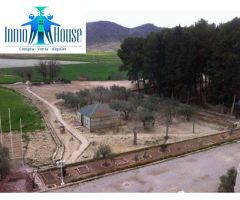 FINCA RÚSTICA DE LABOR CON EDIFICACIONES Y BUENA ACCESIBILIDAD