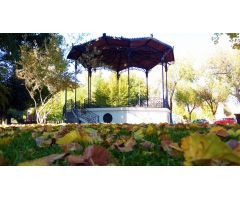LOCAL COMERCIAL EN RENTABILIDAD ZONA INDUSTRIA