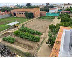 IMPRESIONANTE CASA EN DELTEBRE