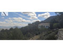 MARAVILLOSA MASÍA