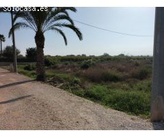 TIERRA RUSTICA EN CREVILLENT