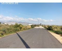 TIERRA RUSTICA EN CREVILLENT