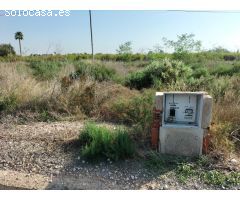 TIERRA RUSTICA EN CREVILLENT