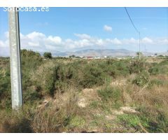TIERRA RUSTICA EN CREVILLENT
