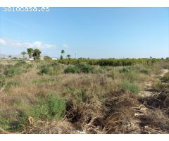 TIERRA RUSTICA EN CREVILLENT