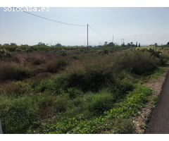 TIERRA RUSTICA EN CREVILLENT