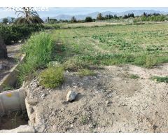 TIERRA DE CULTIVO EN COX
