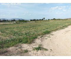 TIERRA DE CULTIVO EN COX