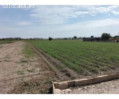 TIERRA DE CULTIVO EN  EL SALAR COX