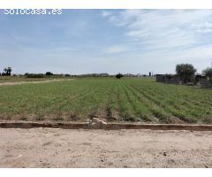 TIERRA DE CULTIVO EN  EL SALAR COX