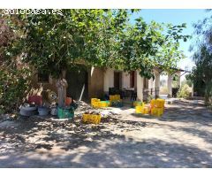 FINCA  RUSTICA CON UNA VIVIENDA