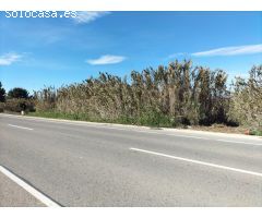 TIERRA RUSTICA EN TERMINO ELCHE