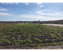 TERRENO RUSTICO EN HUERTA DE COX
