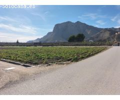 TERRENO RUSTICO EN HUERTA DE COX