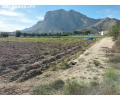 TERRENO RUSTICO EN HUERTA DE COX
