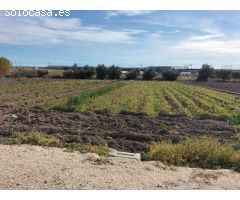 TERRENO RUSTICO EN HUERTA DE COX