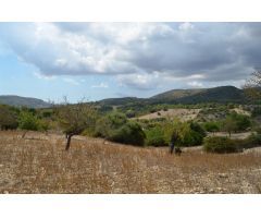 Terreno rural en Venta en Sant Llorenç des Cardassar, Islas Baleares