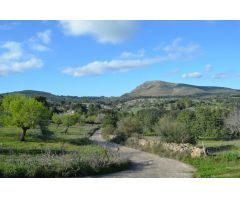 Finca rustica en Venta en Sant Llorenç des Cardassar, Islas Baleares