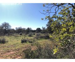 Terreno rural en Venta en Porreres, Islas Baleares