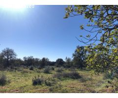 Terreno rural en Venta en Porreres, Islas Baleares