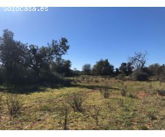 Terreno rural en Venta en Porreres, Islas Baleares