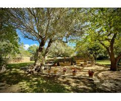 Finca rustica en Venta en Santa Marta de Ortigueira, Islas Baleares