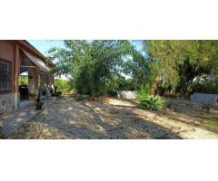 Casa de campo en Venta en Elche de la Sierra, Alicante