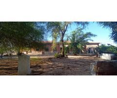 Casa de campo en Venta en Elche de la Sierra, Alicante