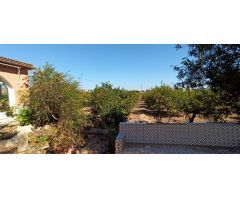 Casa de campo en Venta en Elche de la Sierra, Alicante